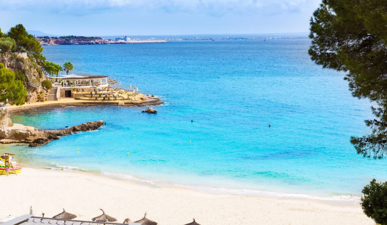 6842a623592f6b5be7f258f5_1_Af8vHZ66mkaE1CKBuv-cFw (1)